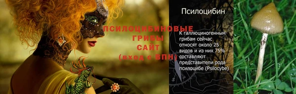 прущая мука Алзамай