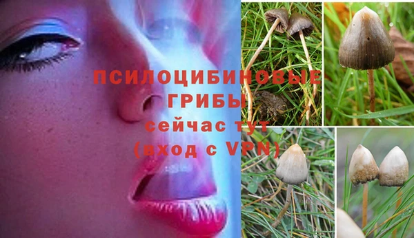 Альфа ПВП Алексин