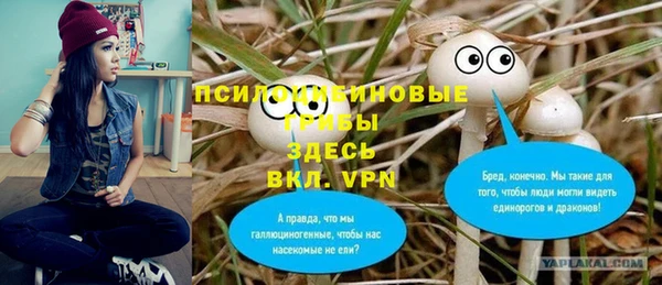 Альфа ПВП Алексин