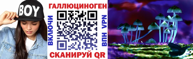 KRAKEN ССЫЛКА  Находка  Галлюциногенные грибы ЛСД 
